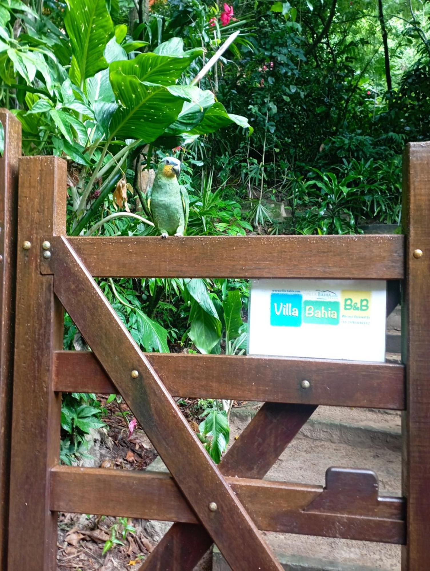 Inn Villabahia Morro de São Paulo